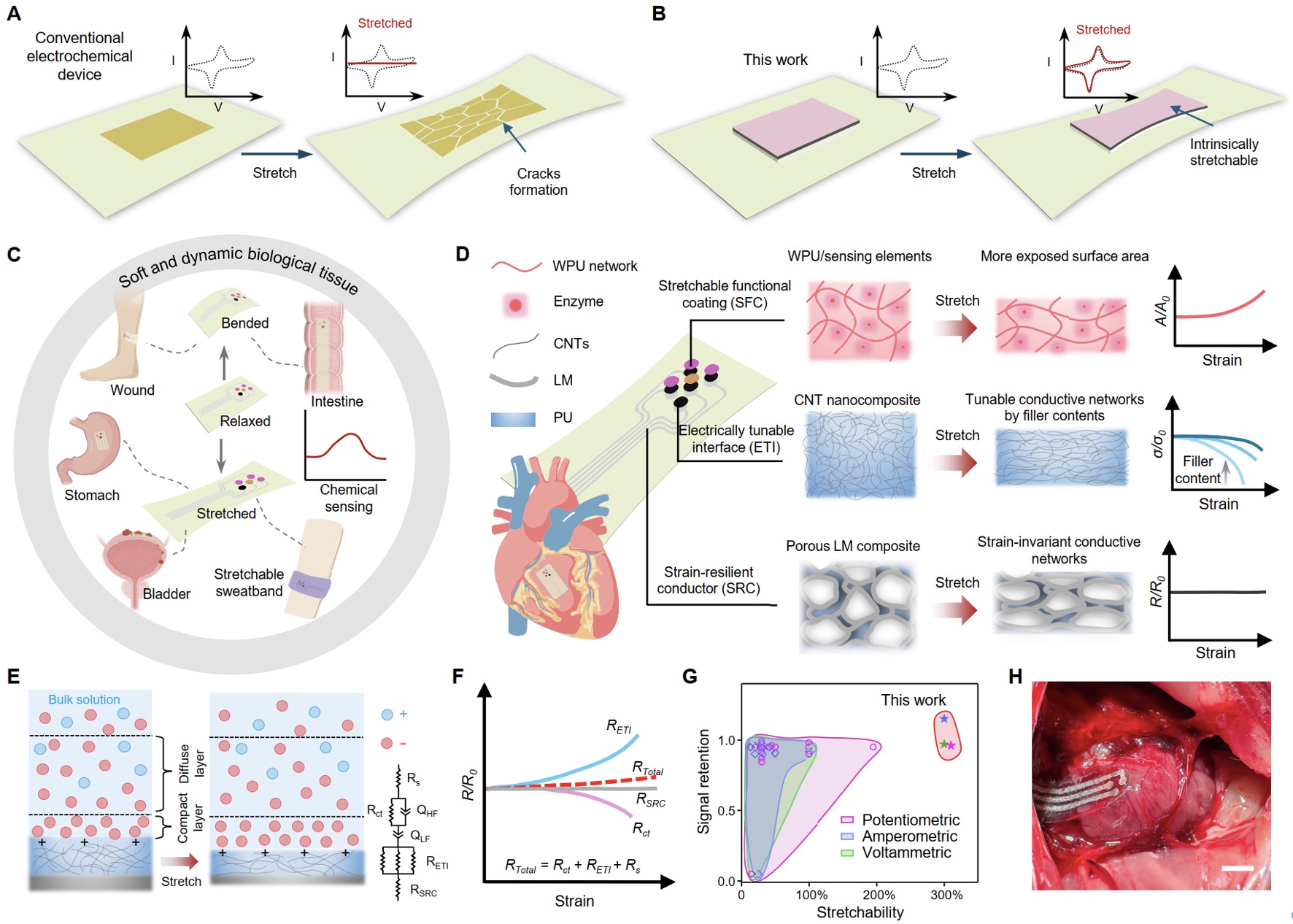 Science｜From Stretchable to Strain-Resilient: Prof. Yadong Xu Reports a ...